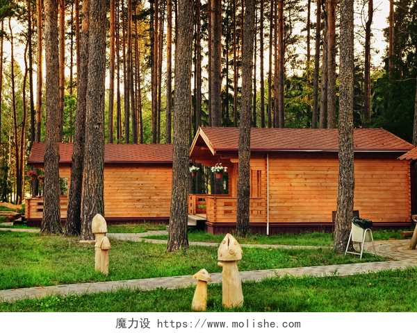 森林中的两个木房子房屋
